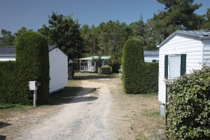 Allée du camping le Logis le bonheur pour les familles à la recherche de tranquillité