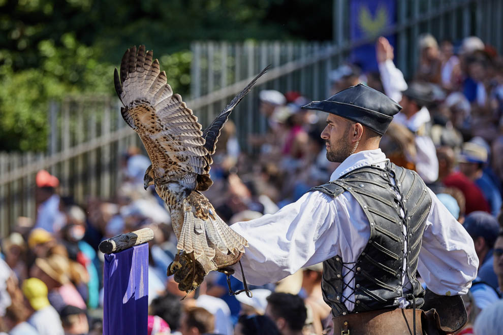 Le Bal des Oiseaux Fantômes spectacle du Puy du Fou