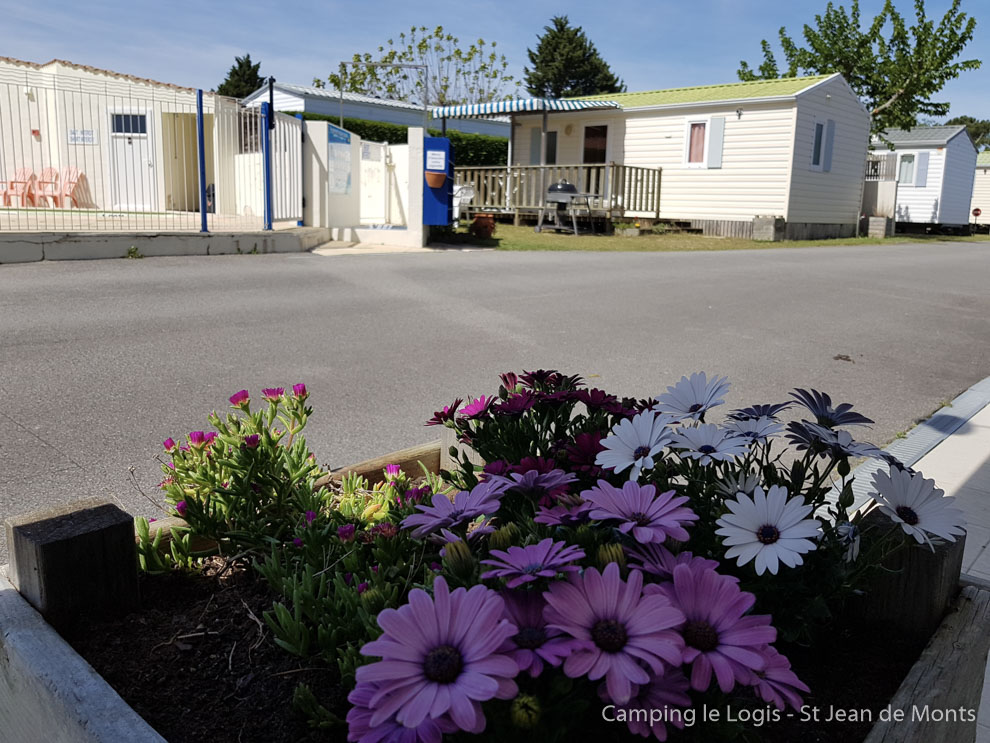 Sandra veille au fleurissement du camping