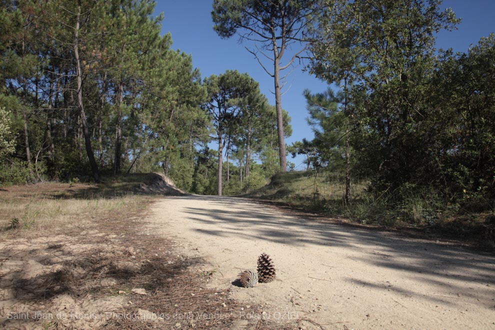 Camping pour faire des balades en foret