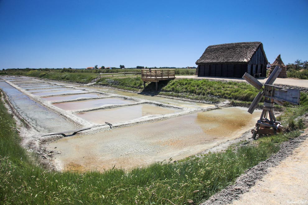 Marais salants dans le Daviaud 