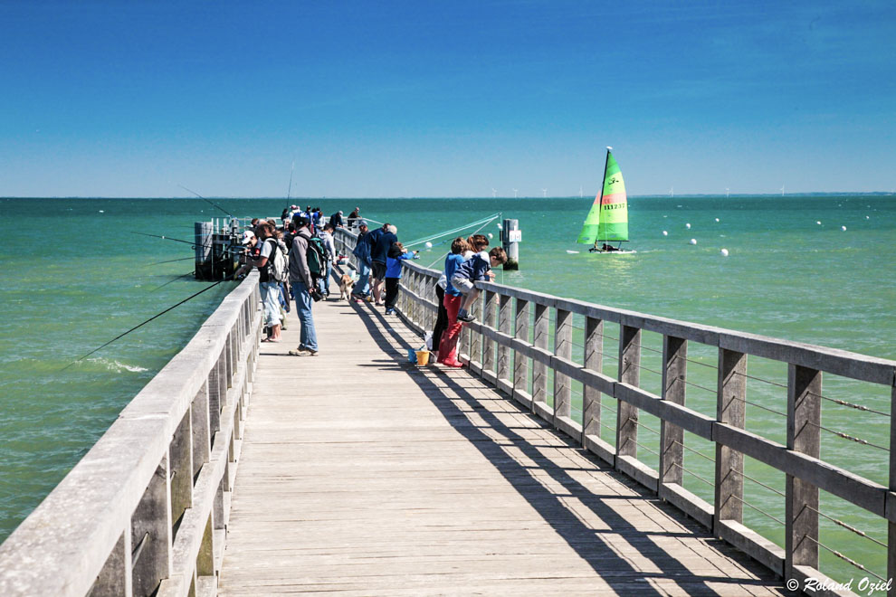 Estacade du Bois de la Chaise à Noirmoutier