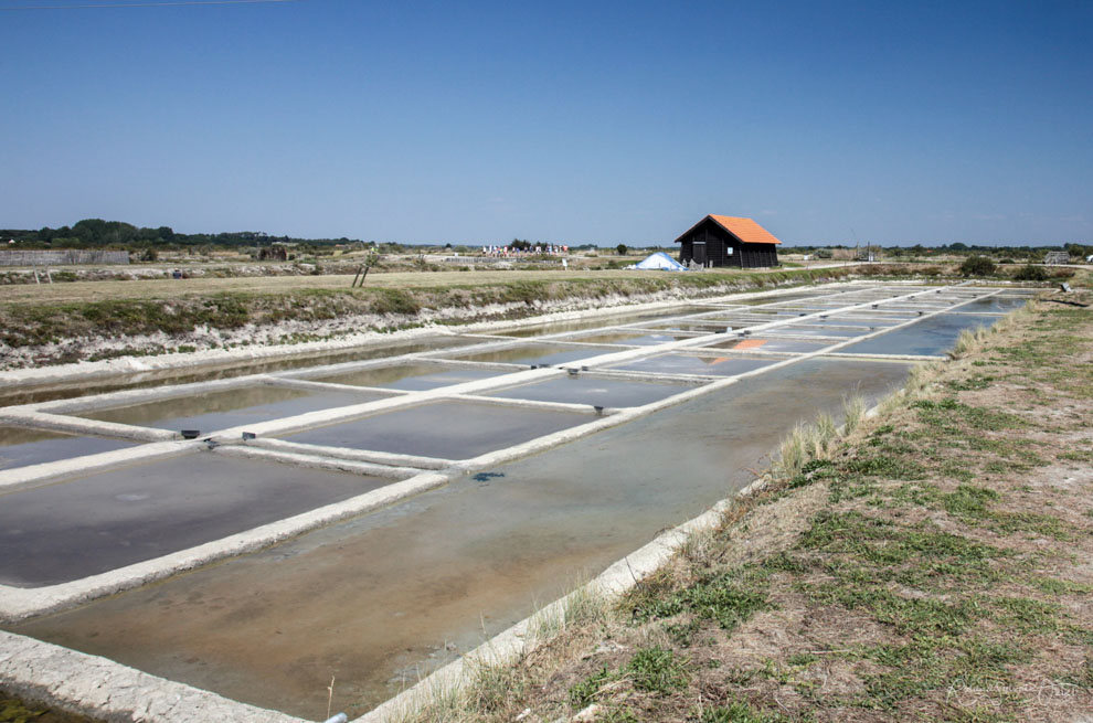 Camping proche des marais salants