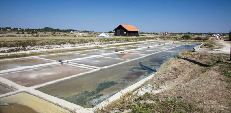 Camping proche des marais salants