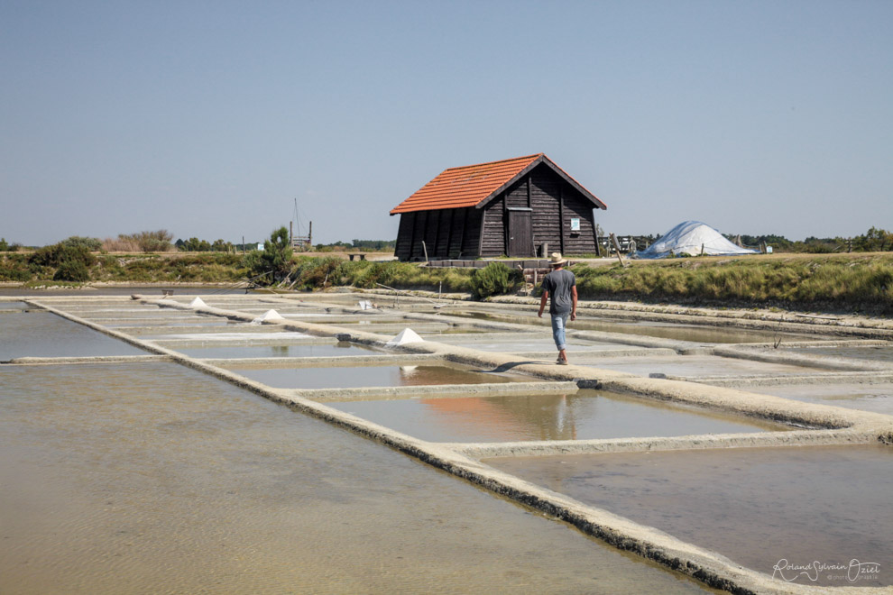 Les Marais Salants en Vendée