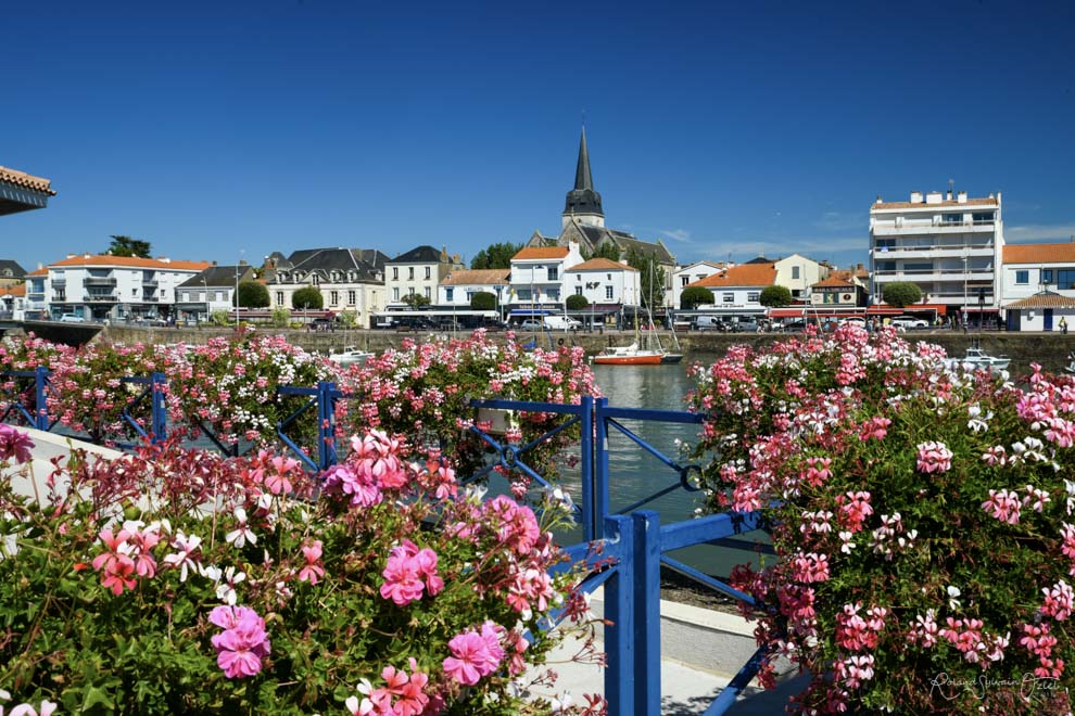 Vue sur l'église de Saint Gilles au travers d'un massif fleuri