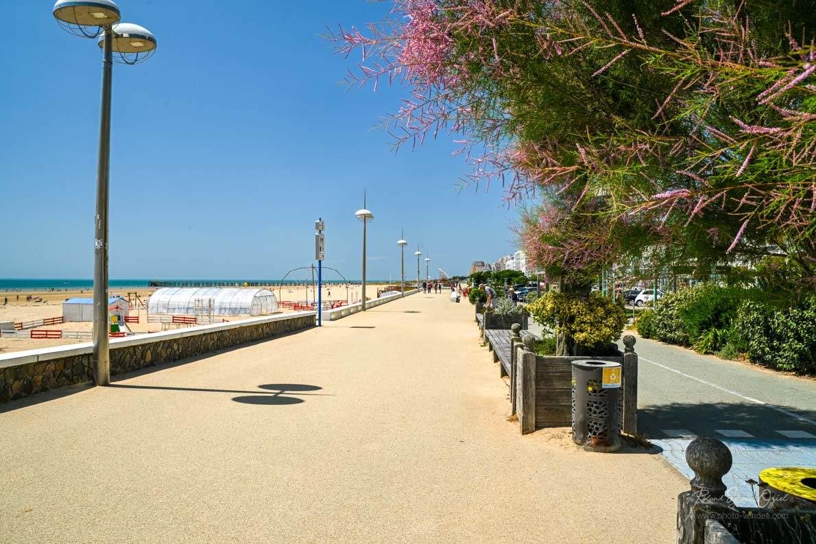 Zone pour piétons de saint jean de monts